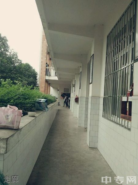 纳溪护国中学[普高]-走廊