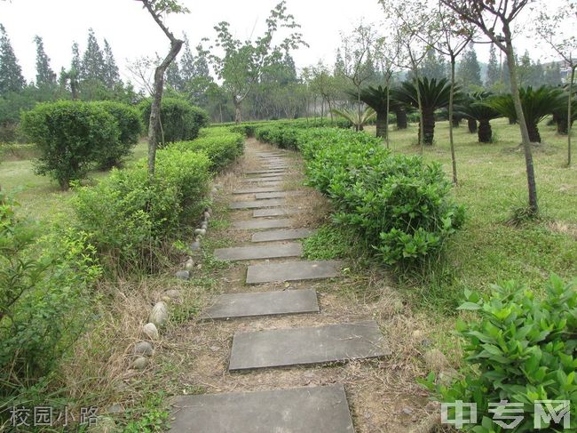 成都市籍田中学[普高]-校园小路