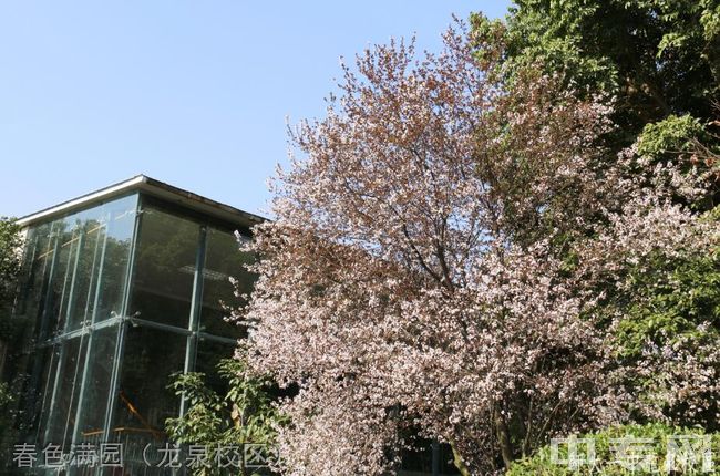 四川师范大学附属第一实验中学[普高]-春色满园（龙泉校区）