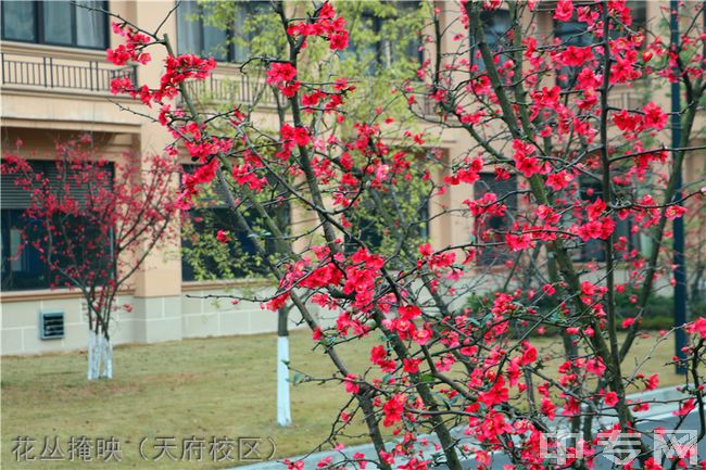 四川师范大学附属第一实验中学[普高]-花丛掩映（天府校区）