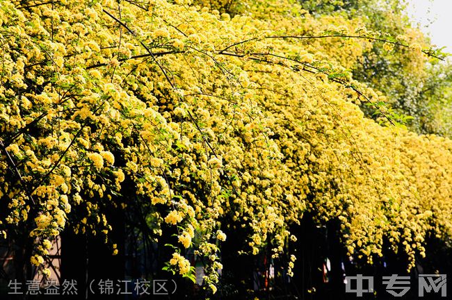 四川师范大学附属第一实验中学[普高]-生意盎然（锦江校区）