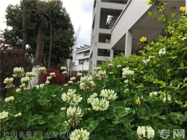 四川师范大学附属第一实验中学[普高]-校园美景2（龙泉校区）