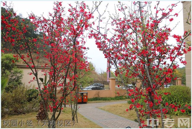 四川师范大学附属第一实验中学[普高]-校园小径（天府校区）