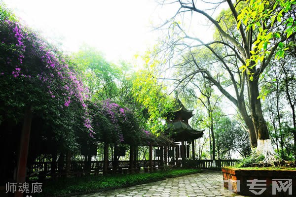 ☆乐山师范学院继续教育学院-师魂廊