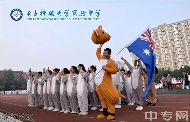 电子科技大学实验中学[普高]-宠物扮演