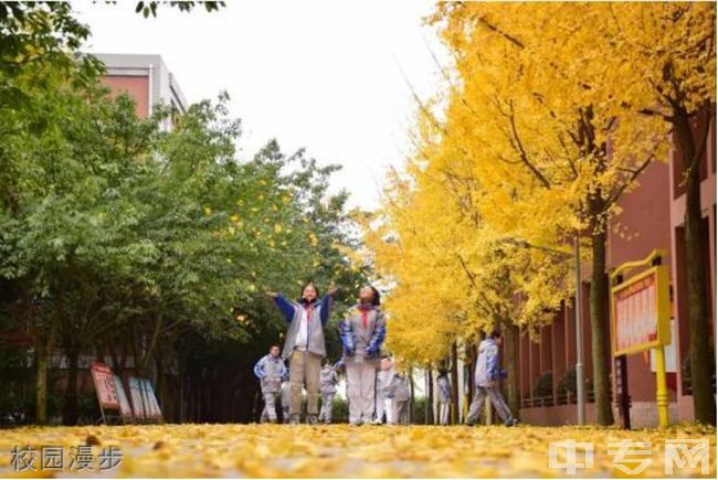 电子科技大学实验中学[普高]-校园漫步