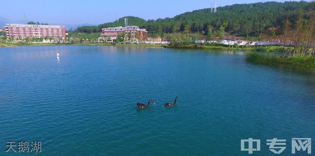 广元天立国际学校[普高]-天鹅湖