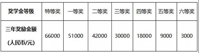 苍溪天立学校奖学金