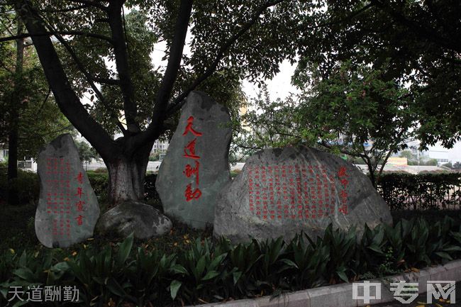 四川省成都市玉林中学[普高]-天道酬勤