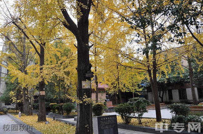 成都市中和中学[普高]-校园秋叶