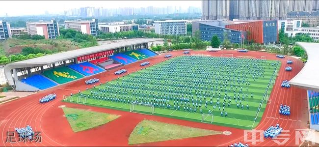 四川省成都市航天中学校[普高]-足球场