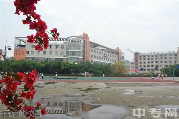 ☆四川卫生康复职业学院继续教育-雨后的校园