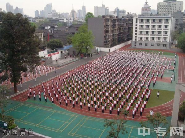 成都市树德协进中学[普高]-校园景色