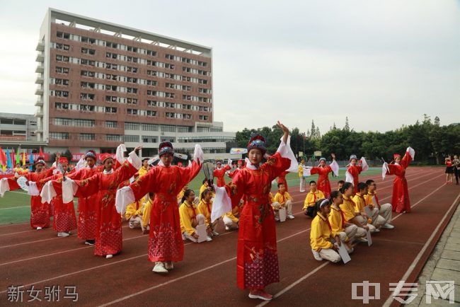 成都高新实验中学[普高]-新女驸马