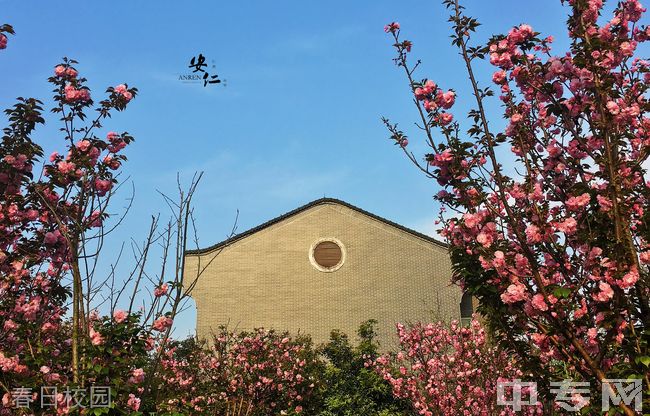 四川省大邑县安仁中学春日校园