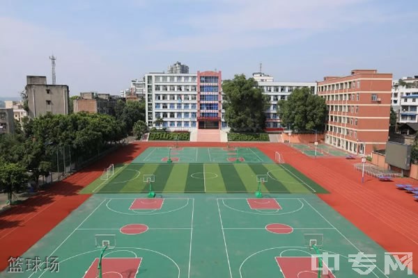 宜宾县白花中学校[普高]-篮球场