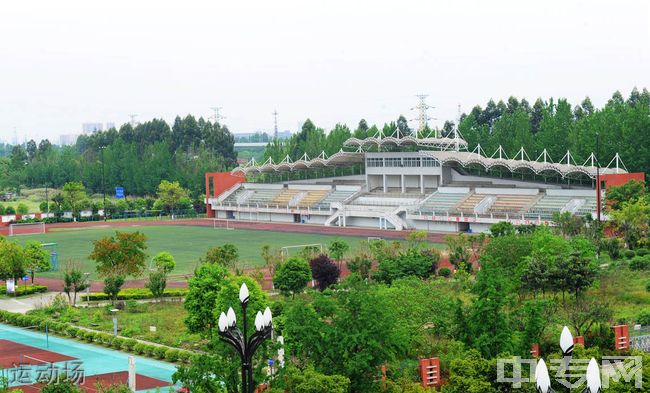 成都市新都香城中学[普高]-运动场