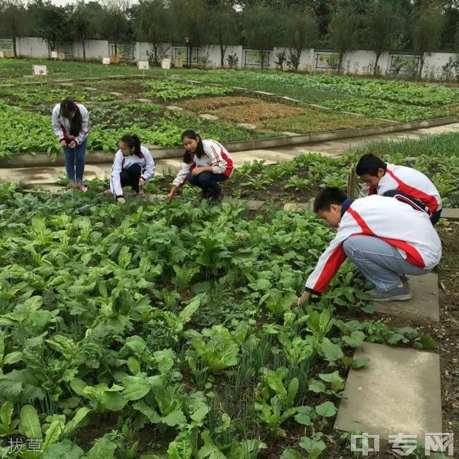 四川省彭州市濛阳中学[普高]-拔草