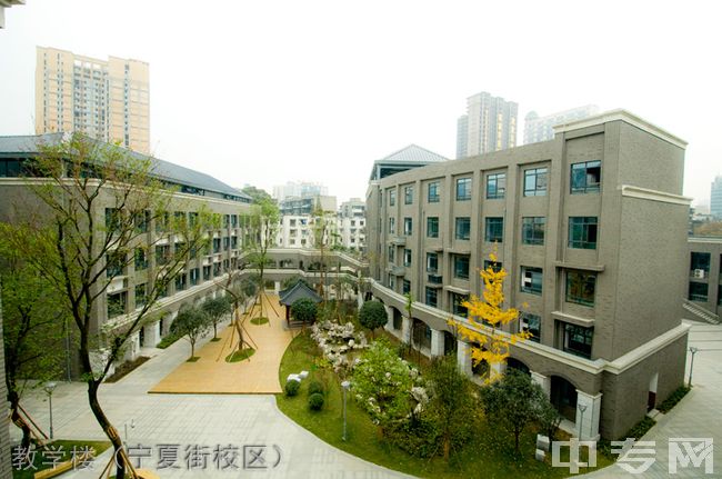 成都树德中学国际部(宁夏街校区)[普高]-教学楼（宁夏街校区）