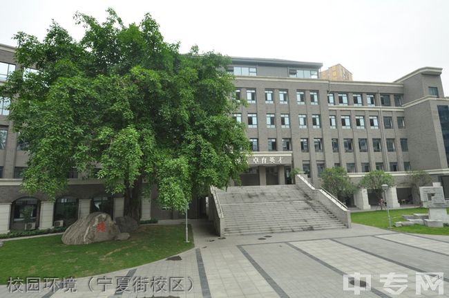 成都树德中学国际部(宁夏街校区)[普高]-校园环境（宁夏街校区）