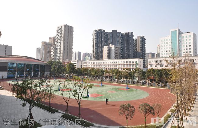 成都树德中学国际部(宁夏街校区)[普高]-学生操场（宁夏街校区）