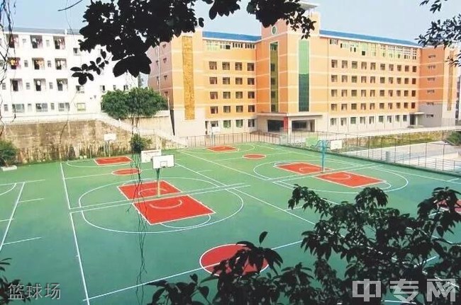 渠县中学篮球场