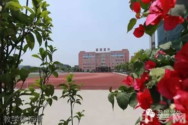 宜宾市翠屏区棠湖学校教学楼远景