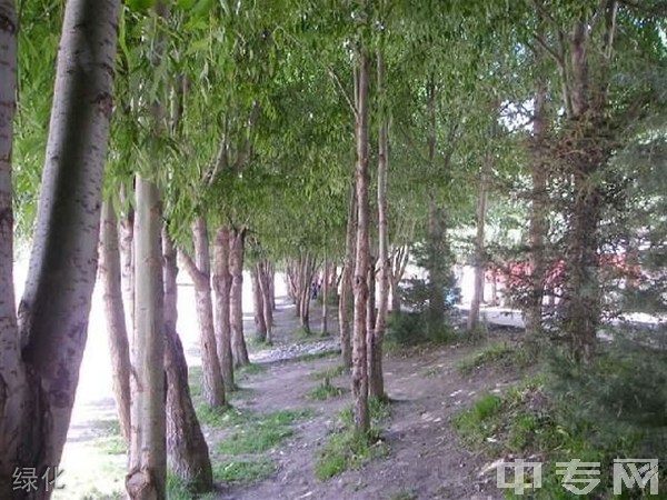 松潘县中学[普高]-绿化