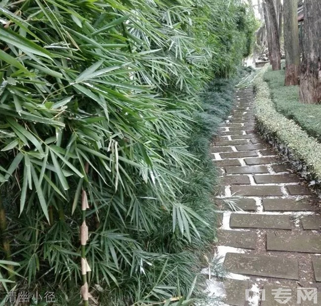 会理第一中学[普高]-清幽小径