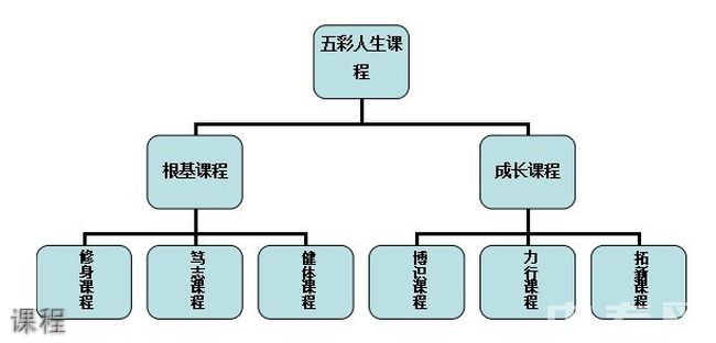 成都市泡桐树中学[普高]-课程