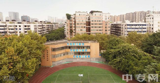 成都大学附属中学[普高]-鸟瞰