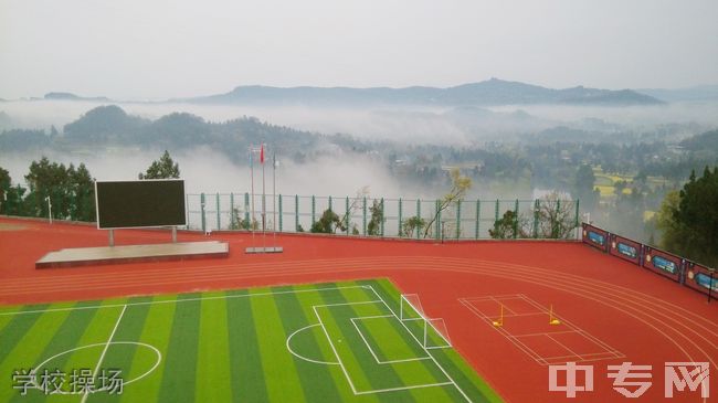 四川师范大学附属第四实验中学[普高]-学校操场