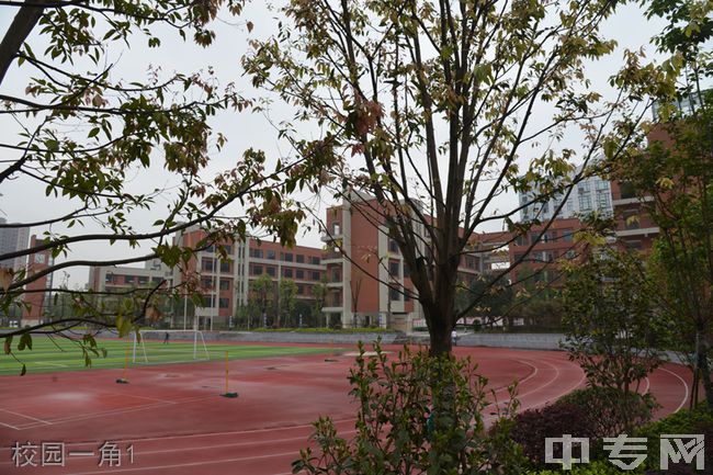 重庆九龙坡渝高中学图片