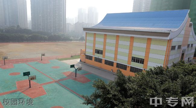 重庆市南坪中学校[普高]-校园环境