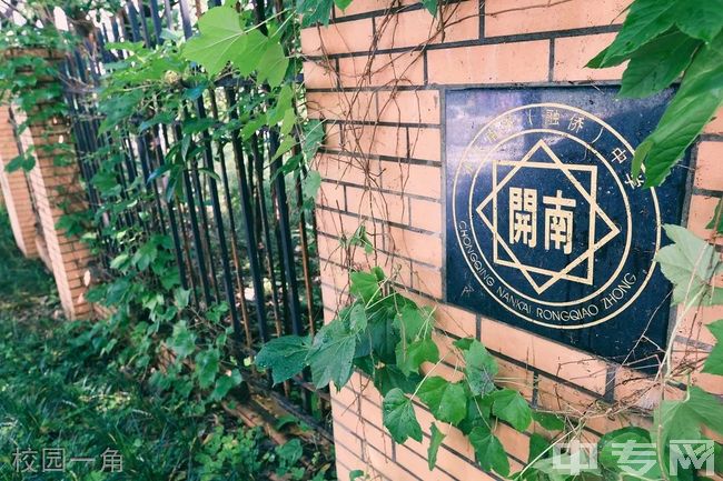 重庆南开(融侨)中学校[普高]-校园一角