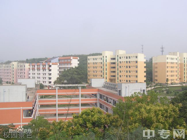 重庆涪陵高级中学校园景色