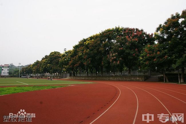 重庆涪陵高级中学塑胶跑道