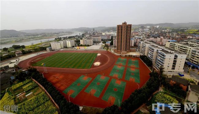 重庆合川太和中学俯瞰