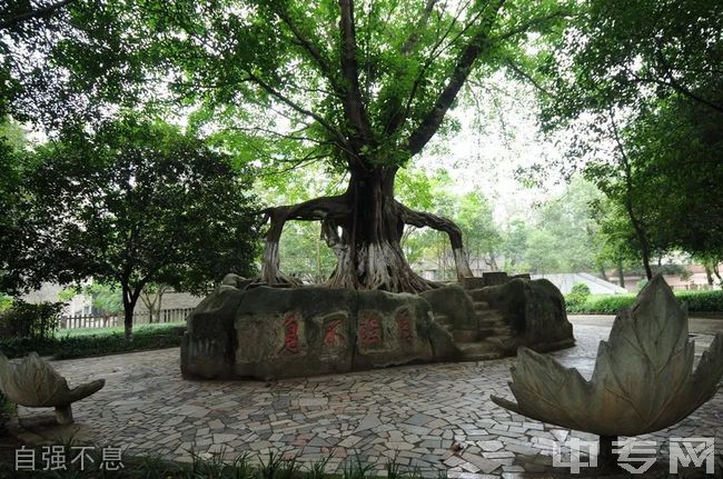 重庆市合川中学[普高]-自强不息