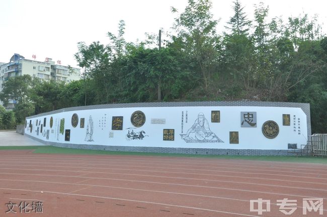 重庆市合川大石中学[普高]-文化墙