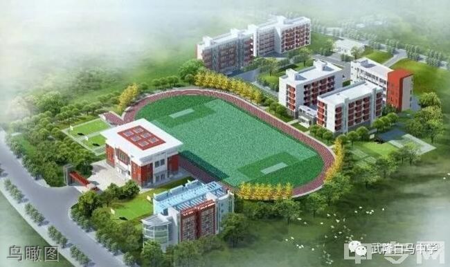 重庆市武隆区白马中学校鸟瞰图