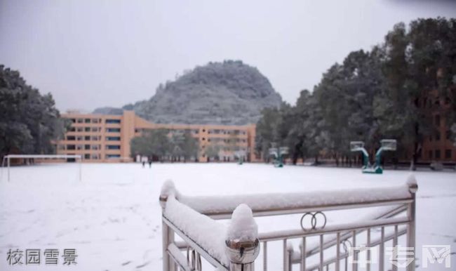 重庆市酉阳土家族苗族自治县第四中学校[普高]-校园雪景