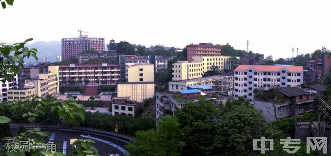 重庆市垫江实验中学校[普高]-校园一角