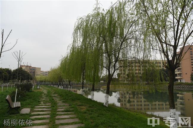 四川铁道职业学院[专科]-杨柳依依