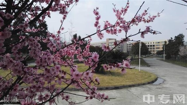 四川铁道职业学院[专科]-校园一角