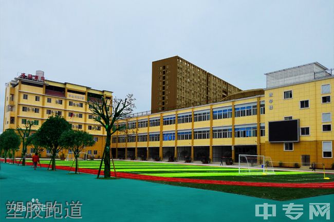 成都市武侯区亚细亚职业学校塑胶跑道