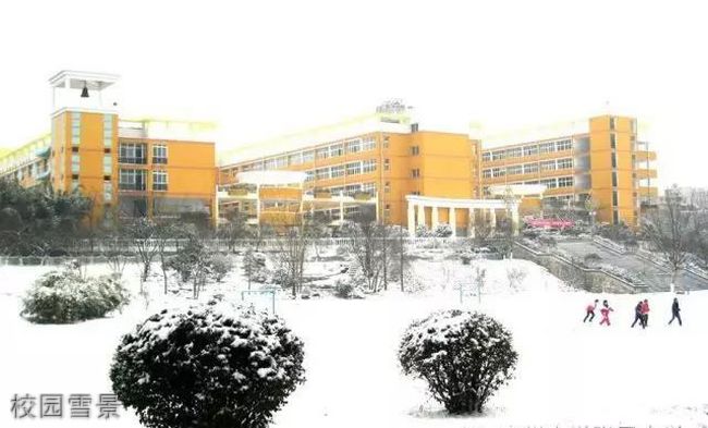 贵州大学附属中学[普高]-校园雪景