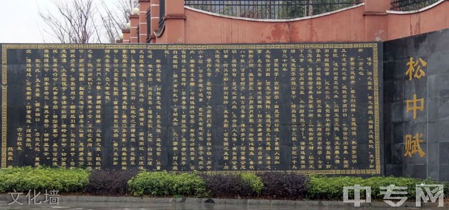 贵州省松桃民族中学[普高]-文化墙