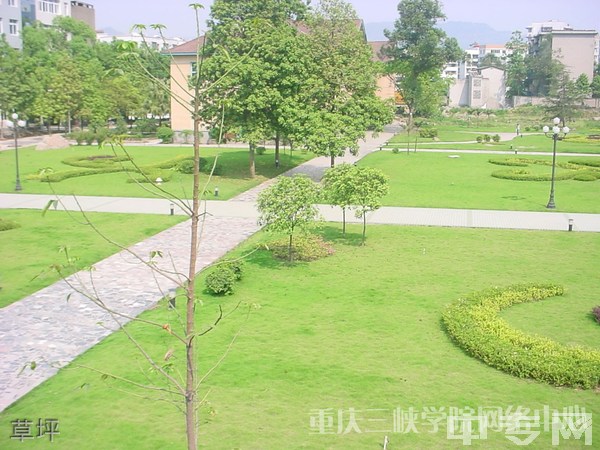 ☆重庆三峡学院继续教育学院-草坪