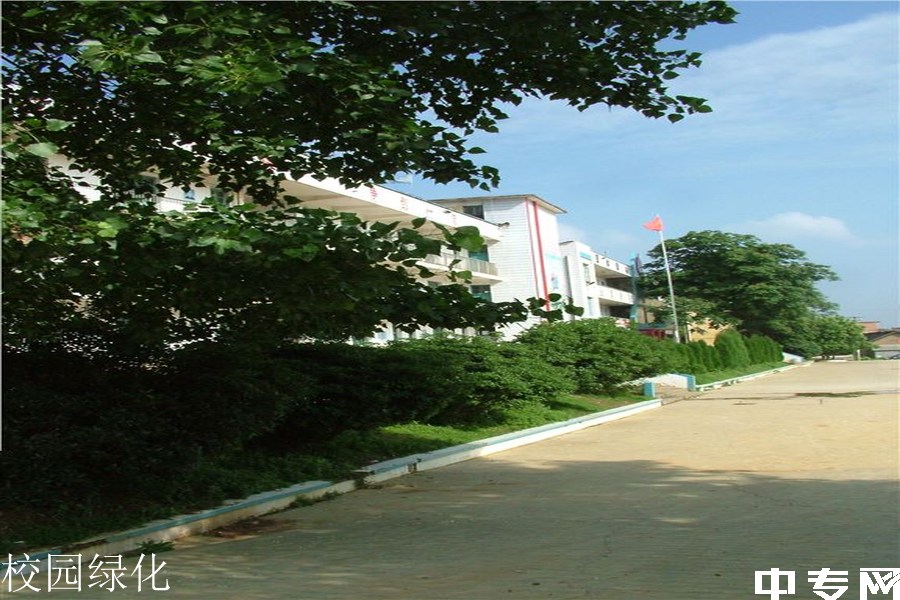 兴仁县第八中学校园绿化